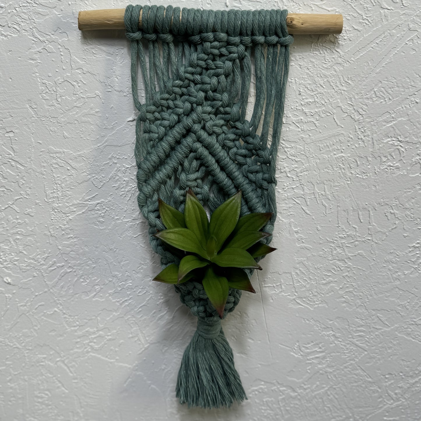 Macrame | Air Plant Hanger | Sage Green Bars