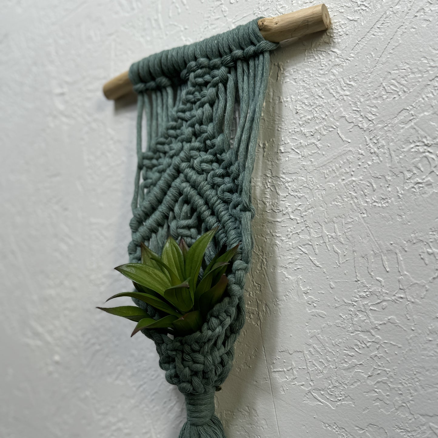 Macrame | Air Plant Hanger | Sage Green Bars