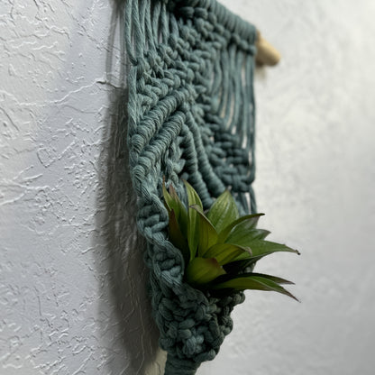 Macrame | Air Plant Hanger | Sage Green Bars
