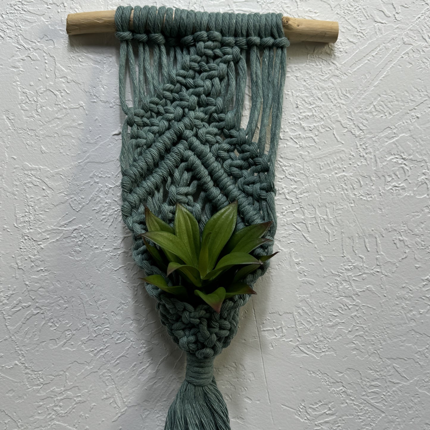 Macrame | Air Plant Hanger | Sage Green Bars