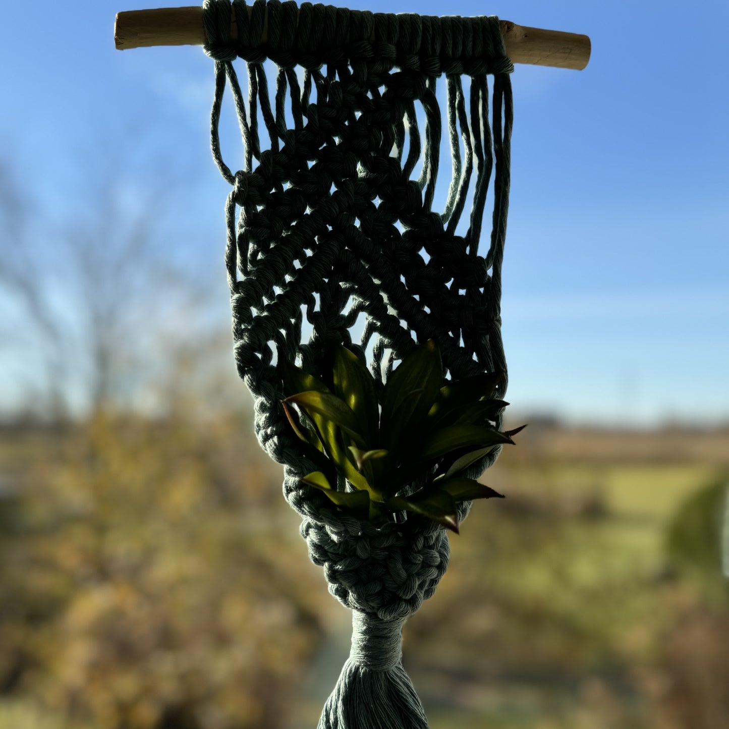 Macrame | Air Plant Hanger | Sage Green Bars