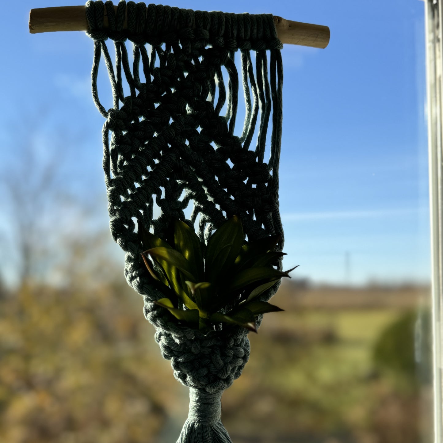 Macrame | Air Plant Hanger | Sage Green Bars