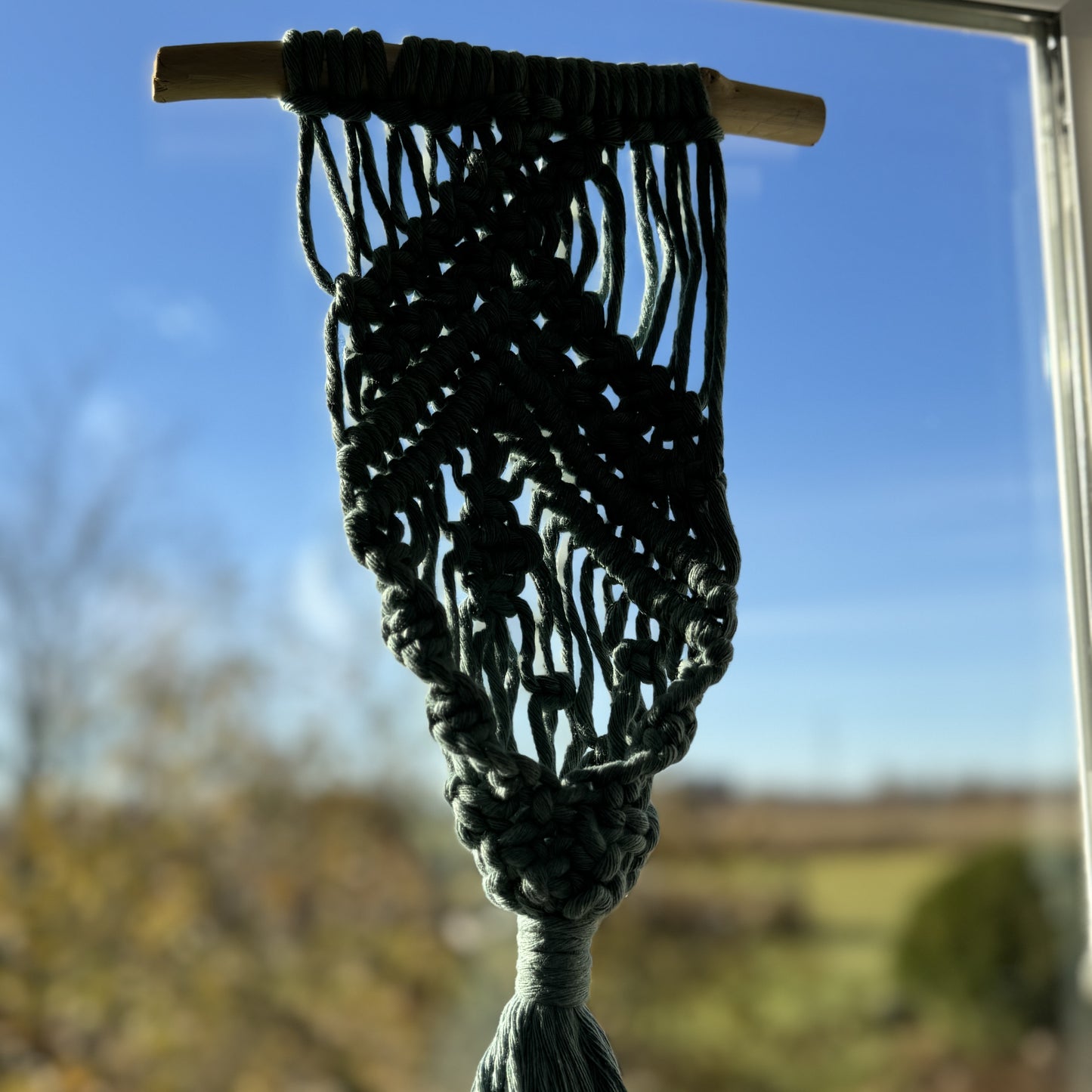 Macrame | Air Plant Hanger | Sage Green Bars