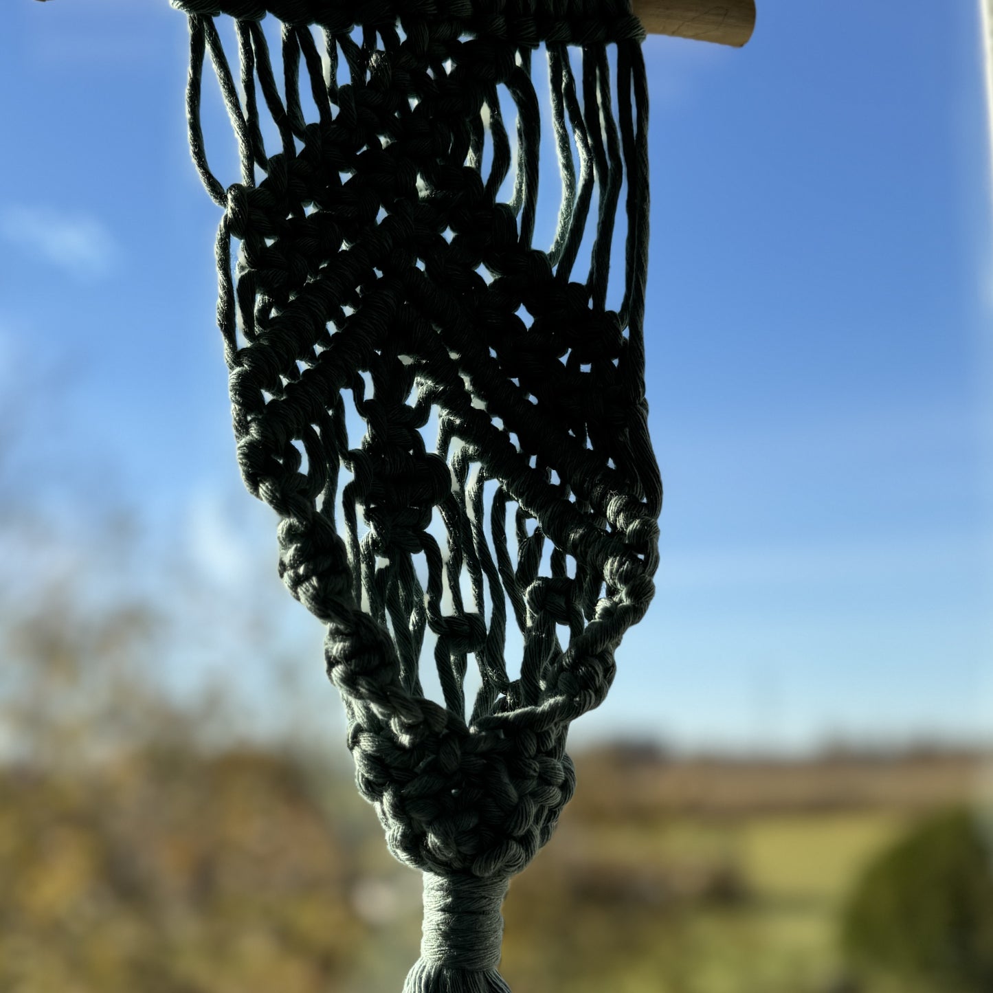 Macrame | Air Plant Hanger | Sage Green Bars