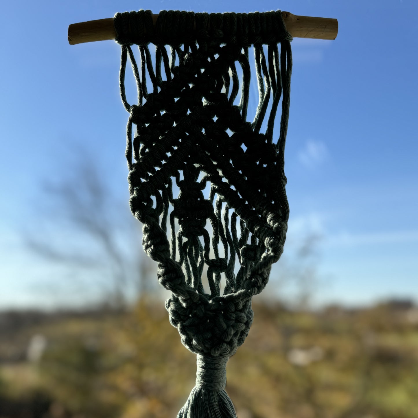 Macrame | Air Plant Hanger | Sage Green Bars