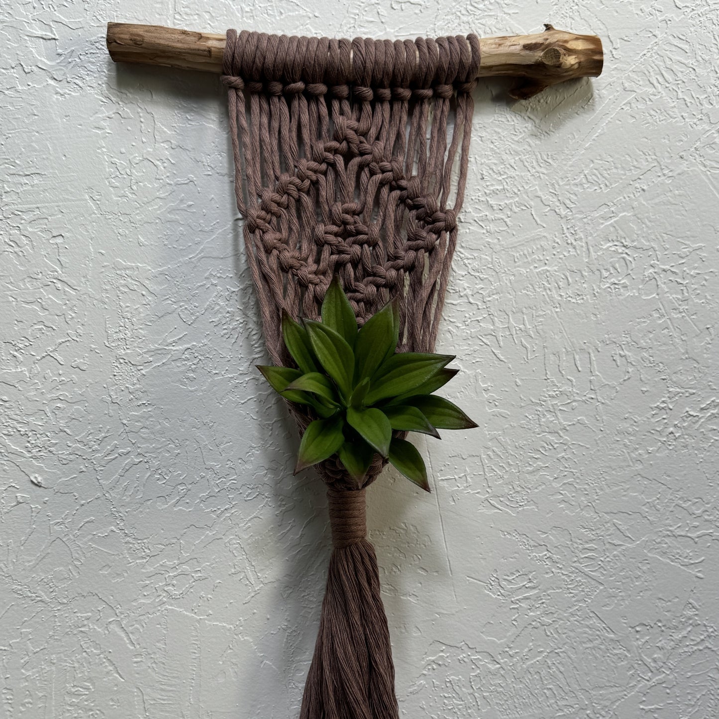 Macrame - Air Plant Hanger - Mauve Diamond