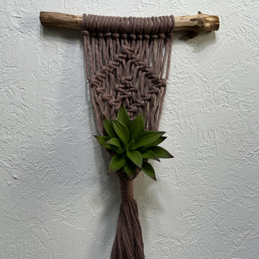 Macrame - Air Plant Hanger - Mauve Diamond