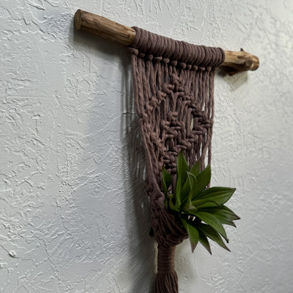 Macrame - Air Plant Hanger - Mauve Diamond