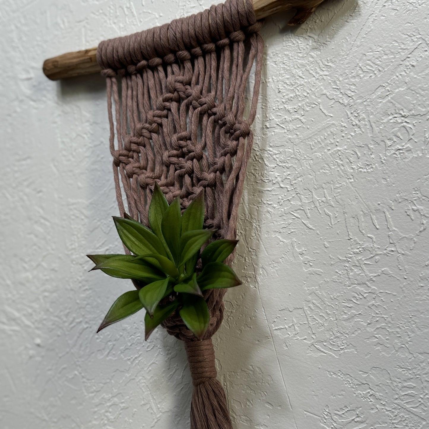 Macrame - Air Plant Hanger - Mauve Diamond