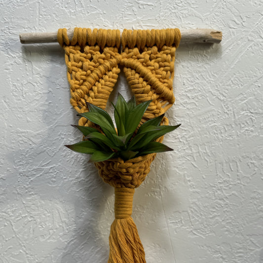 Macrame - Air Plant Hanger- Mustard Yellow Eye