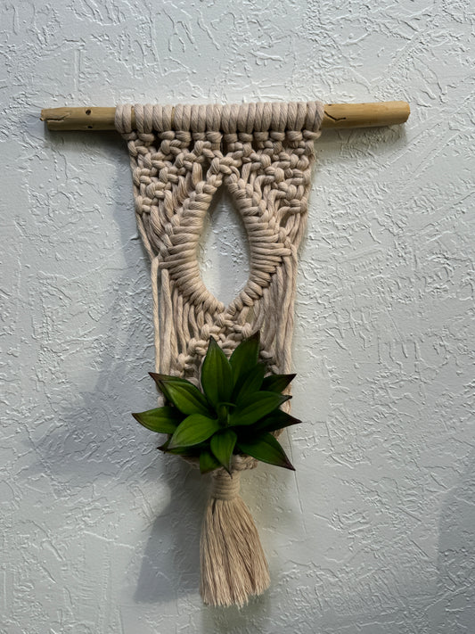 Macrame - Air Plant Hanger - Beige Eye