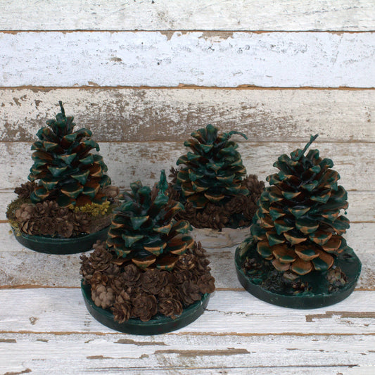 Fire Starter Pinecones w/ Base (100% Beeswax) - Green Large