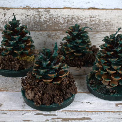 Fire Starter Pinecones w/ Base (100% Beeswax) - Green Large