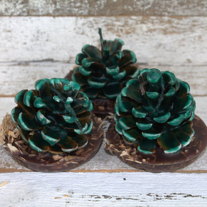 Fire Starter Pinecones w/ Base (100% Beeswax) - Green Small