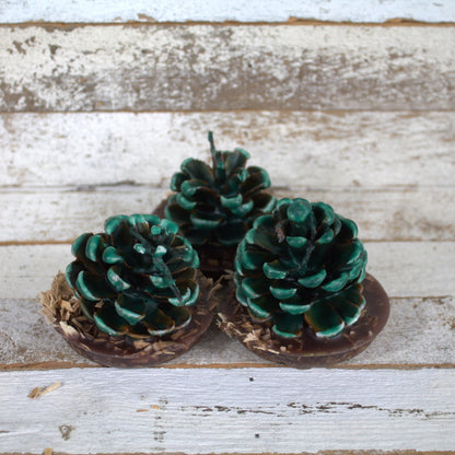 Fire Starter Pinecones w/ Base (100% Beeswax) - Green Small