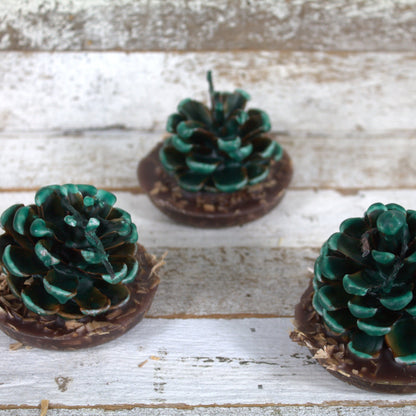 Fire Starter Pinecones w/ Base (100% Beeswax) - Green Small