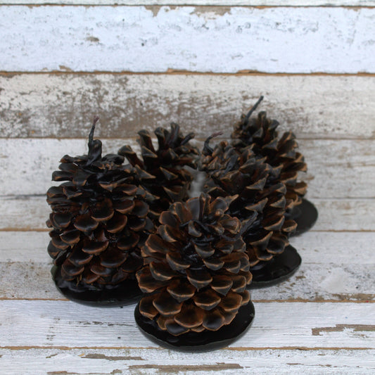 Fire Starter Pinecones w/ Base (100% Beeswax) - Midnight Black Small