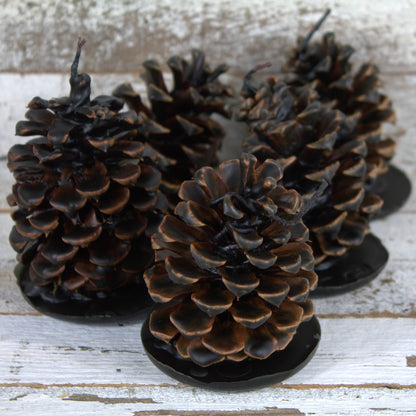 Fire Starter Pinecones w/ Base (100% Beeswax) - Midnight Black Small