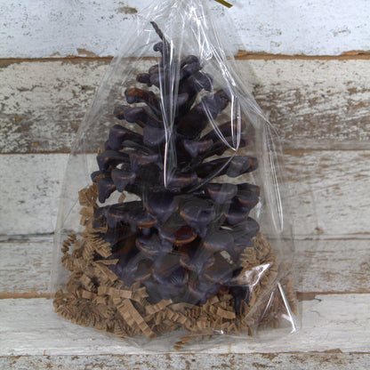 Fire Starter Pinecone (100% Beeswax) - Metallic Plum Large