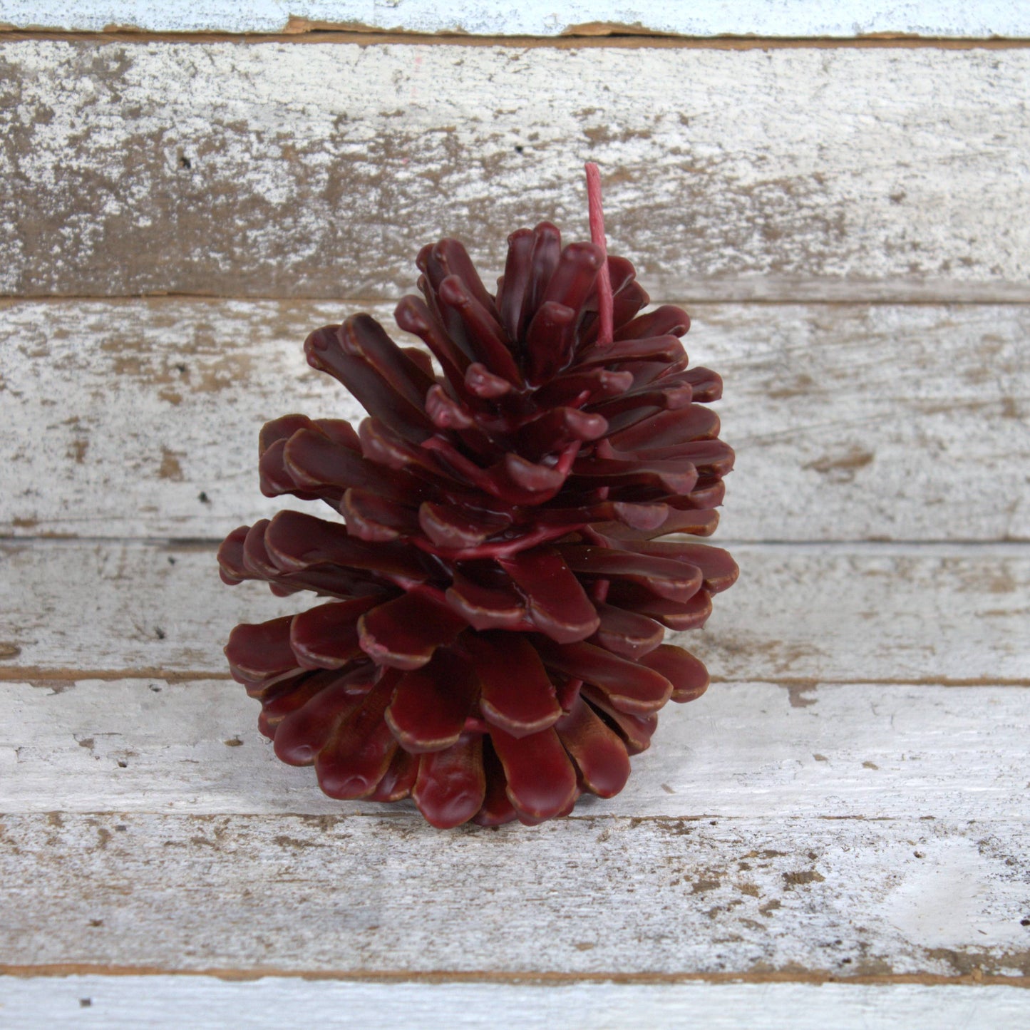 Fire Starter Pinecones (100% Beeswax) - Red Small