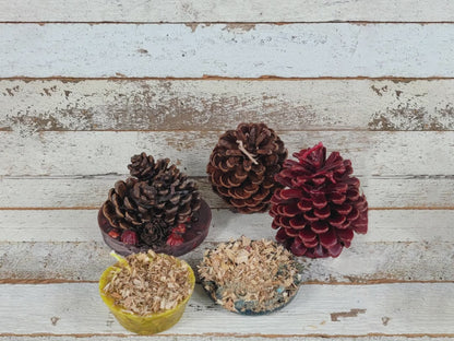 Fire Starter Pinecones w/ Base (100% Beeswax) - Green Small